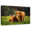 Brampt Highland Cow Friends-108817073