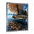 Silver Single Picture Framed