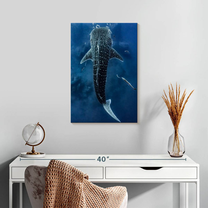 Brampt Spotted Whale Shark, 24" H x 16" W