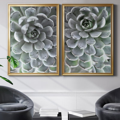 " Irene Weisz " 2 - Pieces