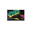 No Frame Print on Canvas