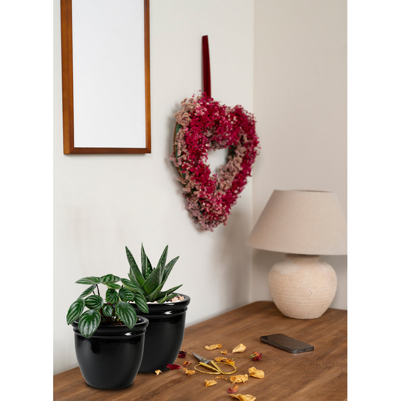 Darende Ceramic Pot Planter, 11.75" H x 14.25" W x 14.25" D 