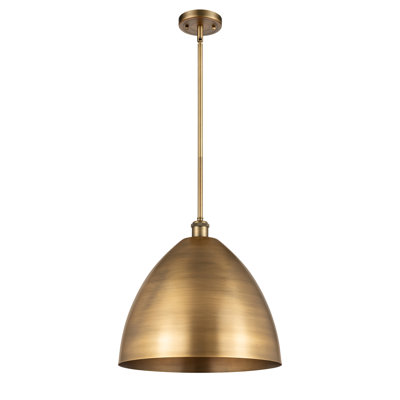 1 - Light Single Drop Pendant Pendant