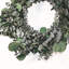 Couronne de porte 24 po Eucalyptus