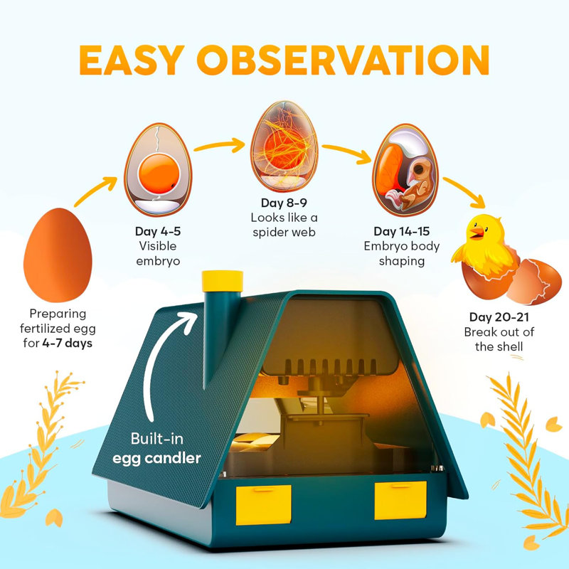 Incubators for Hatching Eggs - Ideal All Ages | Egg Incubator with Automatic Egg Turning and Humidity Control - Integrated Egg Candler - 10 Eggs - Okkobi M10