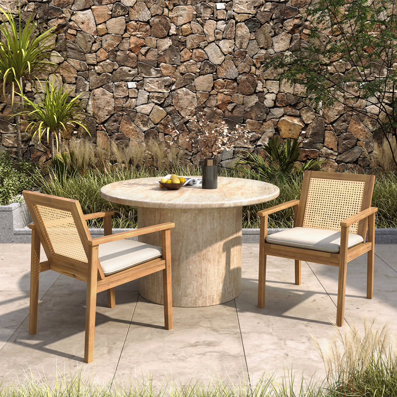 Ensemble de 2 chaises de patio d'extérieur avec coussin