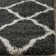 Darrold Hudson Shag Performance Geometric Rug