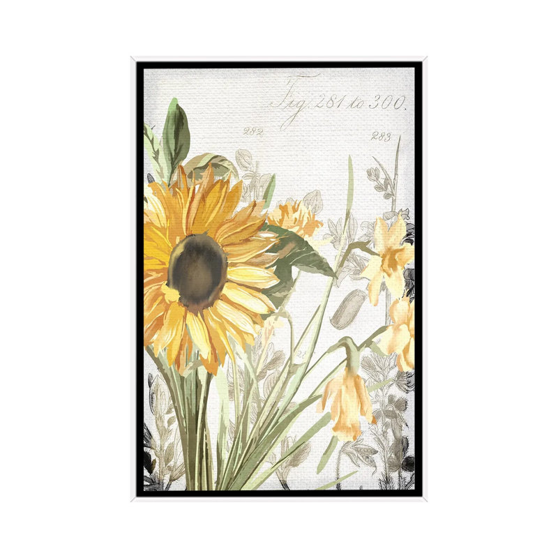 Wildflower Guide I by Kimberly Allen - Painting on Canvas