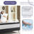 12 Inch Medium Euro Top Pocket Spring With Memory Foam Hybrid Mattress In A Box-99842939