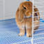 Cage pour petits animaux Ellie