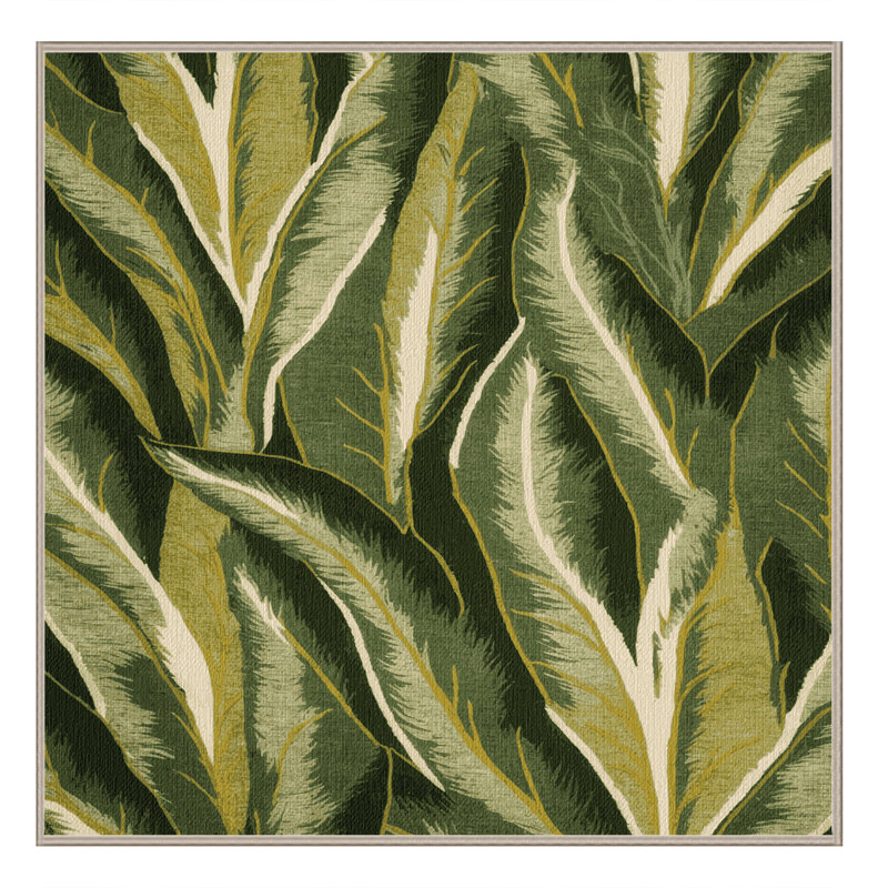  Tapis lavable Endive Cichorium endivia, Carré 4 pi