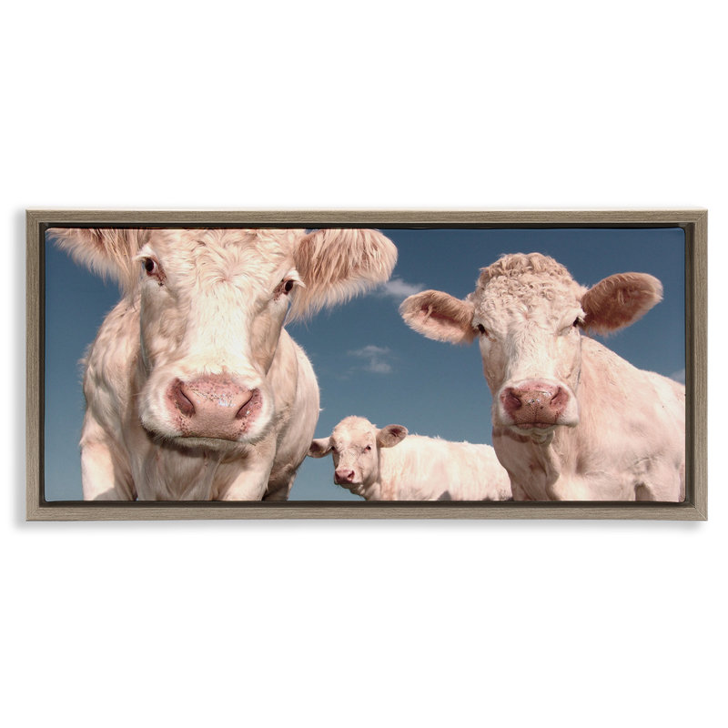 Trois vaches, H 11 po x l 25 po, Cadre flottant orme Montalcino