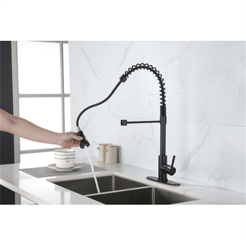 Red Cloud Pull Down Kitchen Faucet