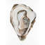 Oyster 1 Print-450076832-450076833