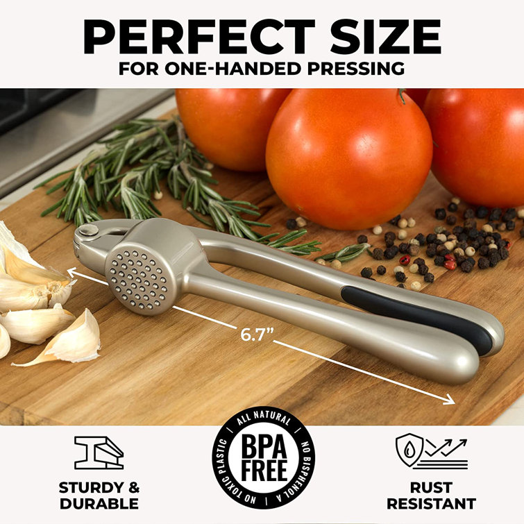 Garlic Press, Premium Rust Proof Kitchen Garlic Mincer Slicer