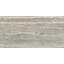 Argento Way 12 po x 24 po Travertin pierre adouci plancher et mur d'aspect pierre