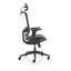 Ergo Twist Mesh Office Chair with Headrest