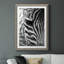 Zebra Colt - Photographie avec cadre photo-1635737520-1635737521
