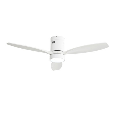Ventilateur de plafond 52 po pour l'intérieur et l'extérieur