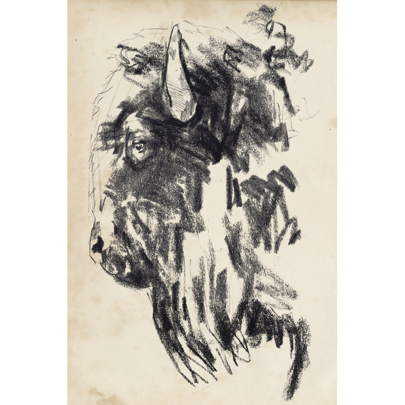 Bison Head Gesture II by Jennifer Paxton Parker 1 - Drawing Print, 91 cm H x 61 cm W, Black Floater Framed