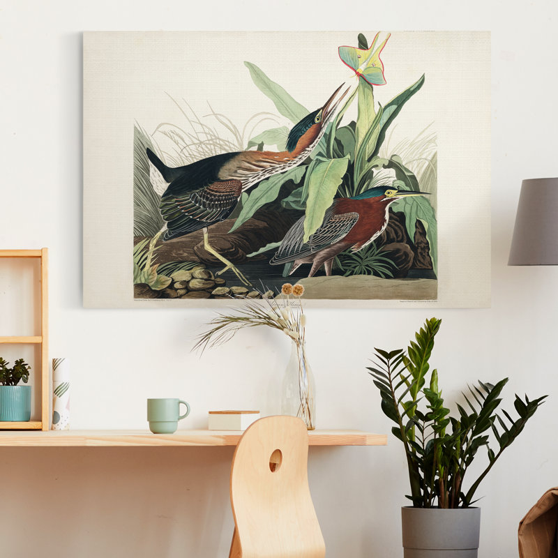 « Pl 333 Green Heron », reproduction d’art sur toile tendue, H 48 po x l 32 po x P 1 po