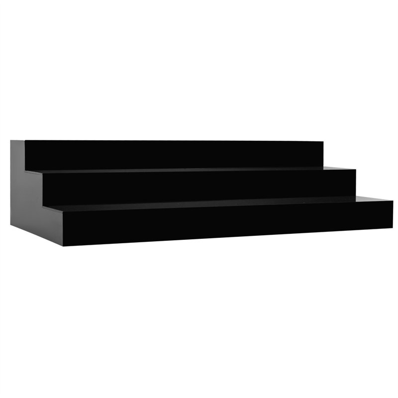 5.9'' H x 24'' W Acrylic Display Case, Black