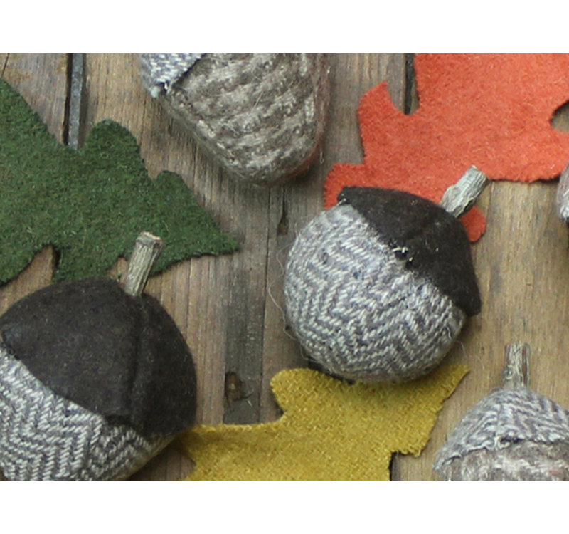 Desir Plants & Flowers Home Accents