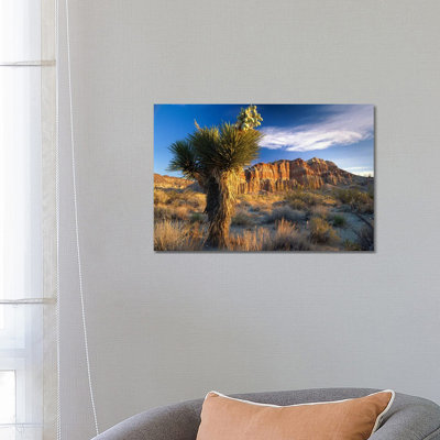 Joshua Tree At Red Rock State Park, California by Tim Fitzharris - Wrapped Canvas Print