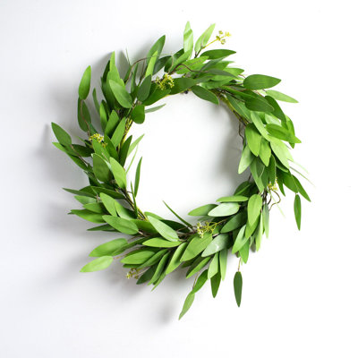 Fresh (Live) Eucalyptus 22'' Wreath