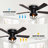 Pickard 42'' Ceiling Fan with Light Kit