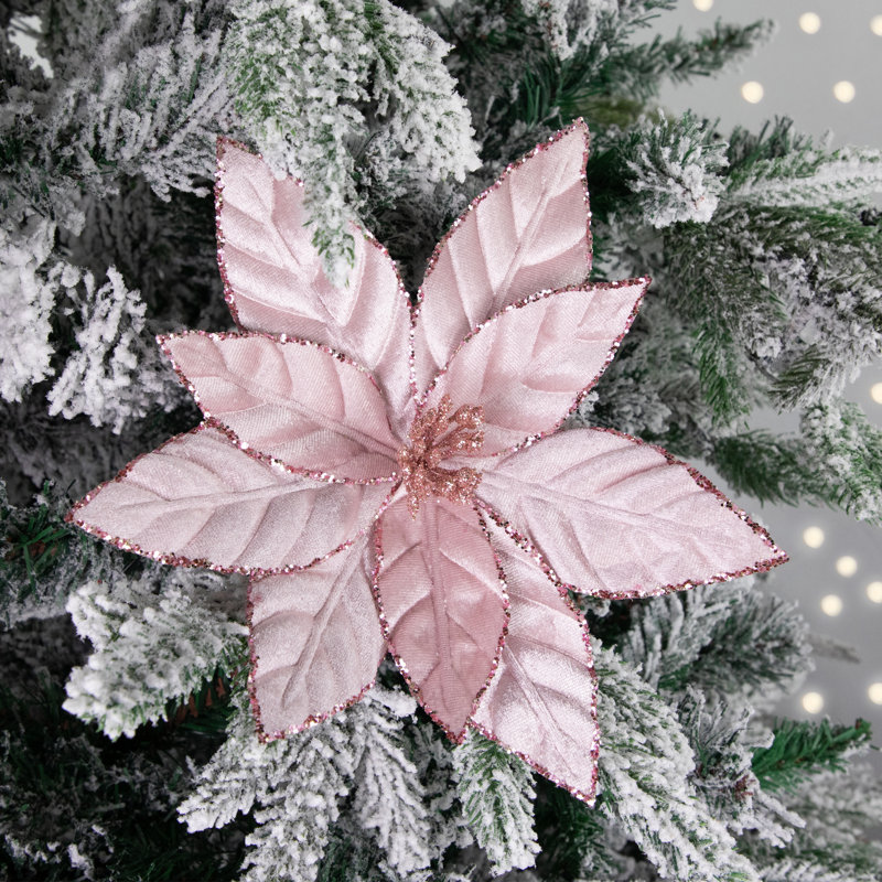 Tiges de poinsettia, Rose