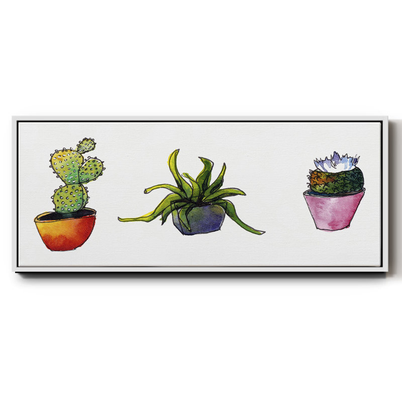 Vibrant Succulents I - Toile encadrée, H 8 po x l 20 po