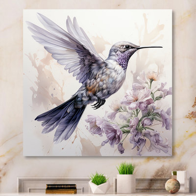 Colibri gris en vol