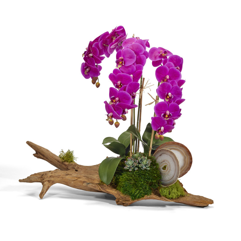 Orchids Floral Arrangement in Planter