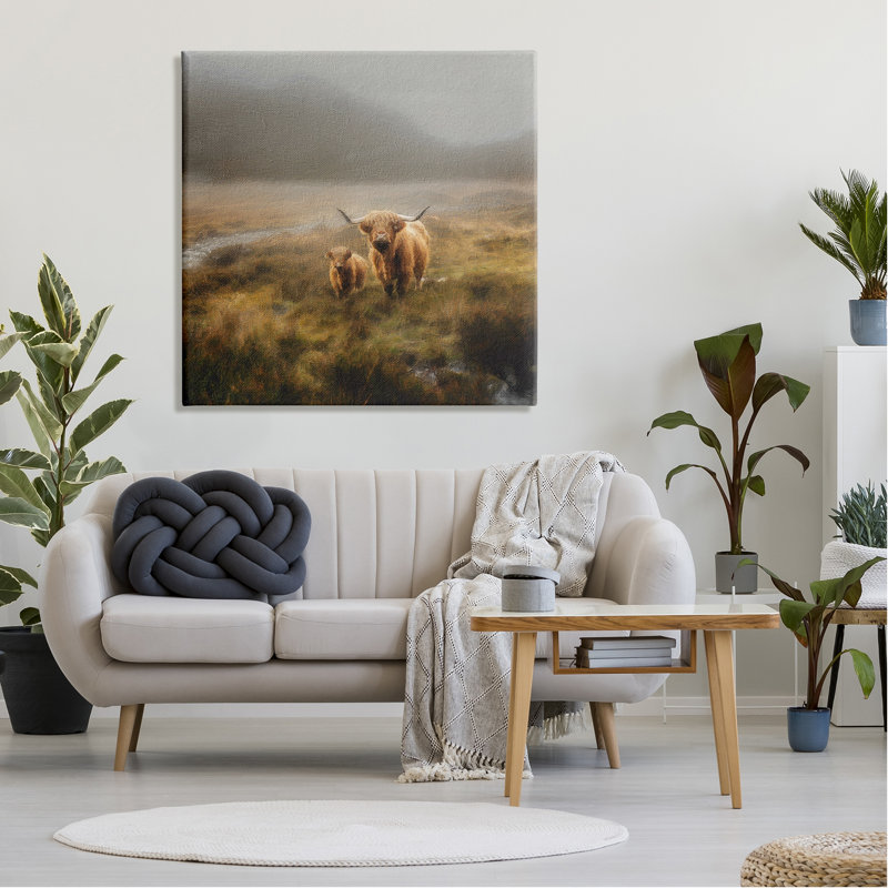 Highland Cows, paysage champêtre sur toile par Paul Brent, photographie, H 36 po x l 36 po x P 1,5 po