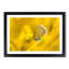 Yellow Butterfly in Abstract - Picture Frame Graphic Art Print-55759153-55759154