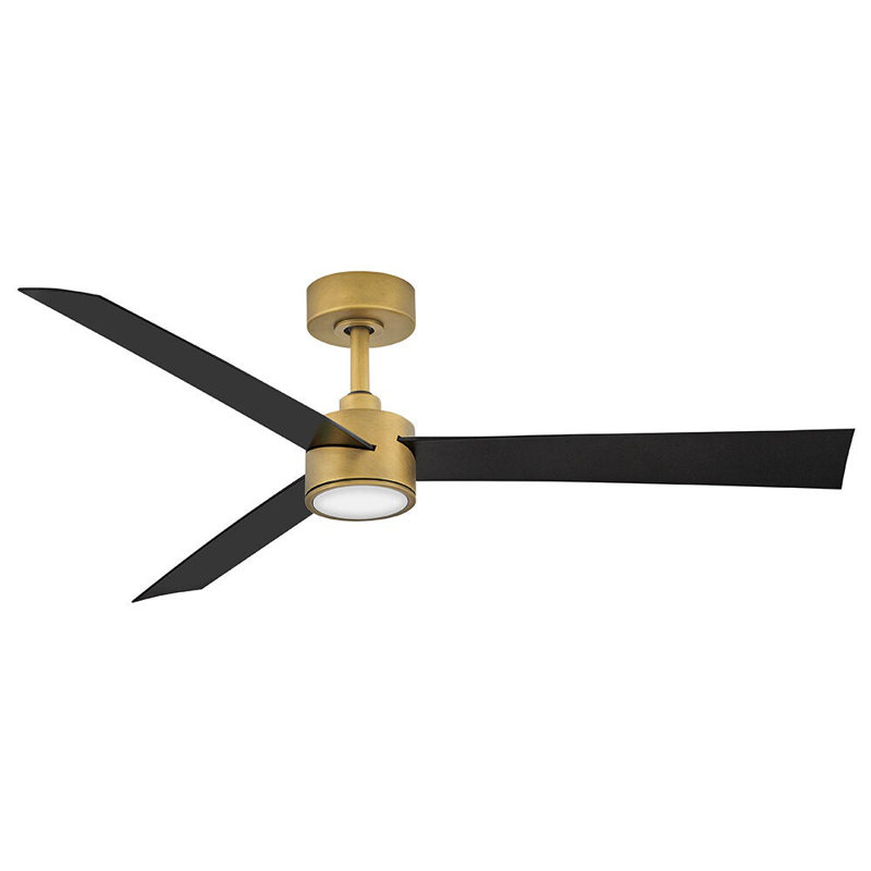 Hinkley Speck Ceiling Fan, Brass, Matte Black