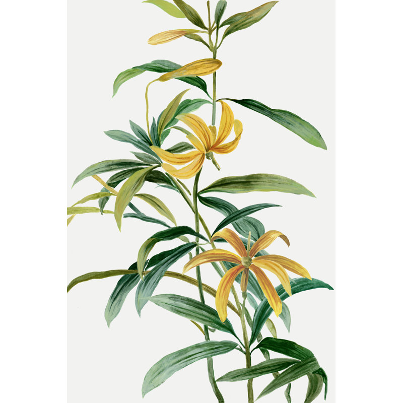 Fleurs tropicales jaunes I par Asia Jensen, H 18 po x l 12 po