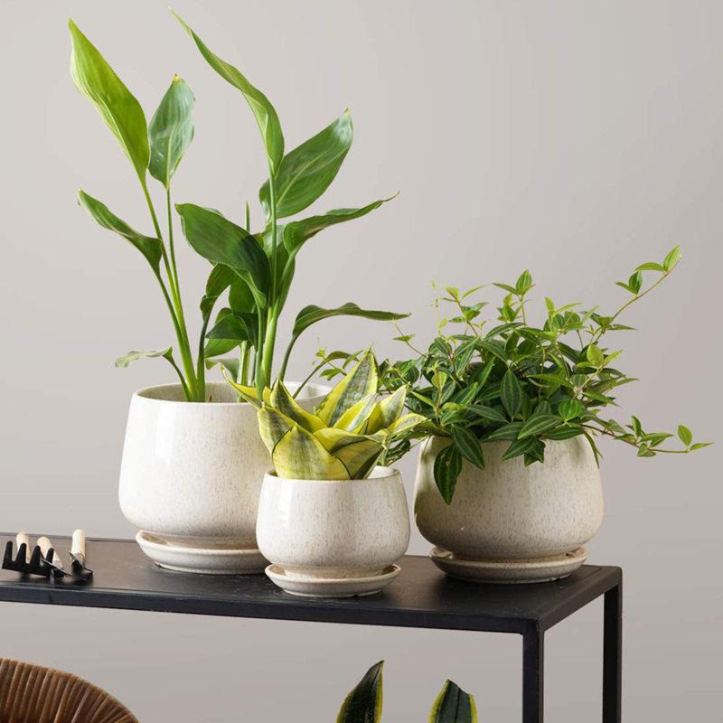 Pots à plantes en céramique 4,1 + 5,1 + 6,5 pouces, Beige