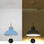 Luminaire suspendu simple à 1 lumière Gibran-1312792636