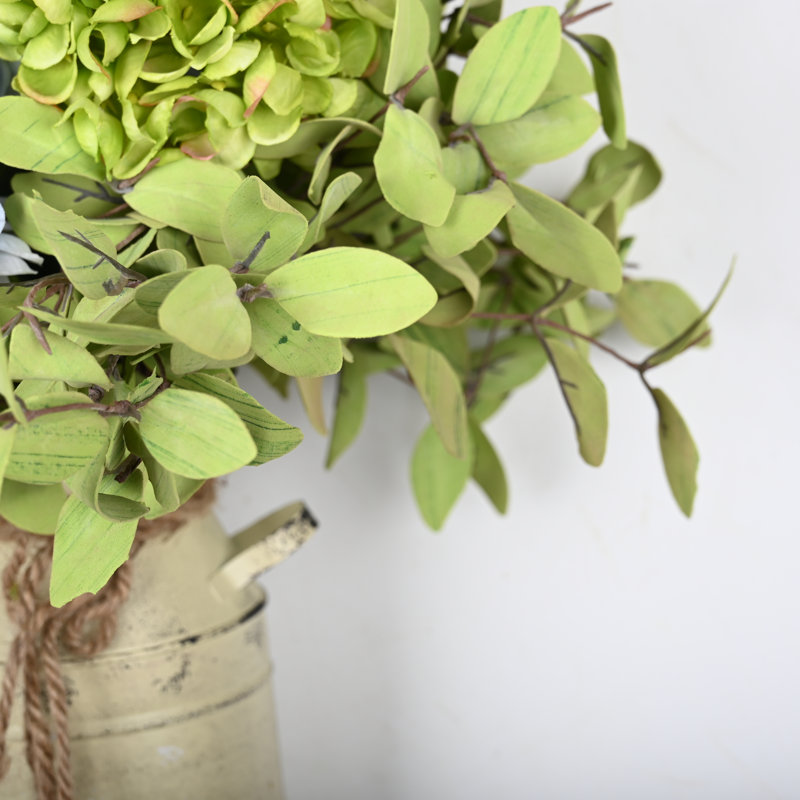 Arrangement d'hortensias en pot, Bleu / vert