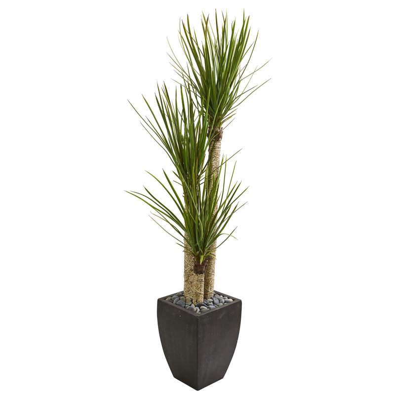 63'' Faux Yucca Tree in Earthenware Pot
