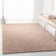 Holyfield Solid Colour Hand Woven Area Rug