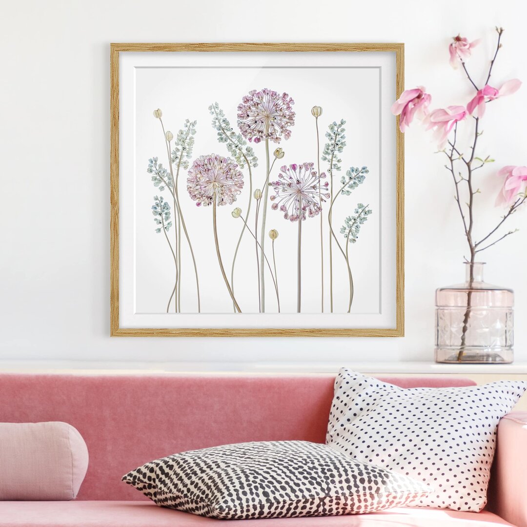 Gerahmtes Papierbild Allium Illustration