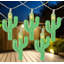 Guirlande de 10 lumières DEL vert cactus 10 fils - fil transparent 4,5 pi