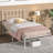 Orabelle Metal Bed-2029868768