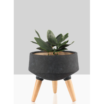 Ceramic Pot Planter