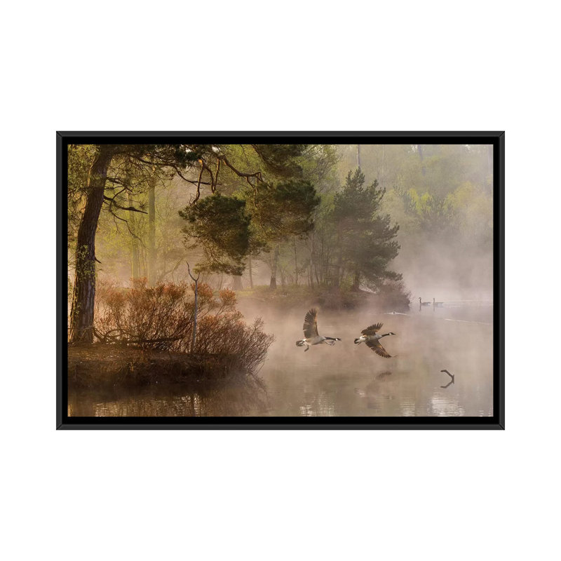 «Goose Fight», reproduction de photo sur toile, H 18 po x l 26 po x P 1,5 po, Pas de tapis, Toile encadrée noire