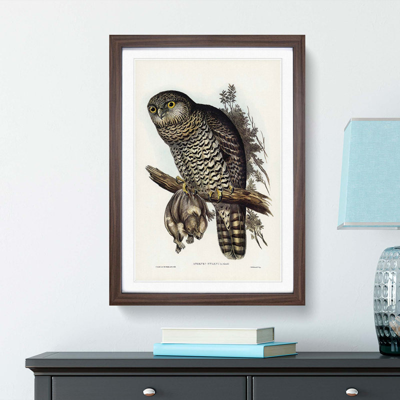 Powerful Owl by Elizabeth Gould - Picture Frame Painting Print, 65cm H x 48cm W x 2cm D, Walnut Framed