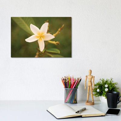 White Flower by Aged Pixel - Wrapped Canvas Print